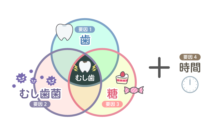 むし歯とは